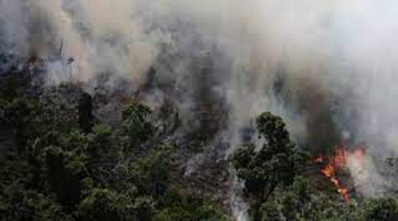 Expresa Presidente cubano solidaridad con Brasil tras incendio