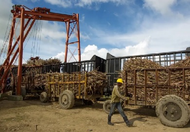 Situación actual y perspectivas de la producción azucarera y sus derivados