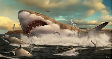 megalodon