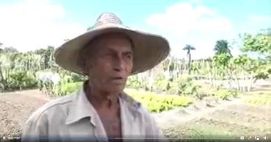 Un campesino de mi tierra