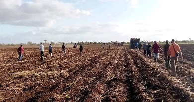 trabajo voluntario