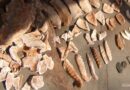 Un día para la arqueología