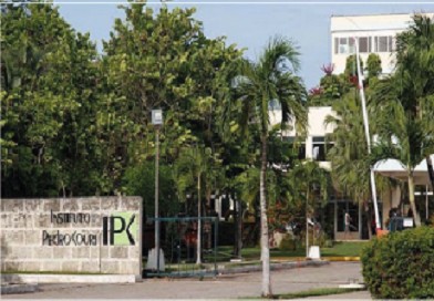 Minsap presenta los primeros resultados de las investigaciones virológicas de Oropouche