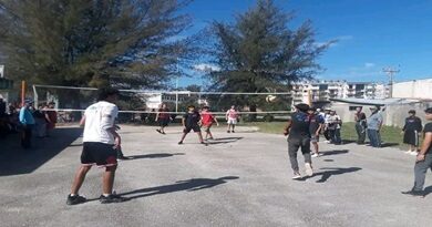 voleibol