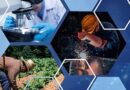 Cuba apuesta por trabajos dignos y un desarrollo social sostenible