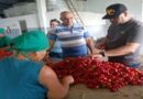 Por el polo productivo de Dolores