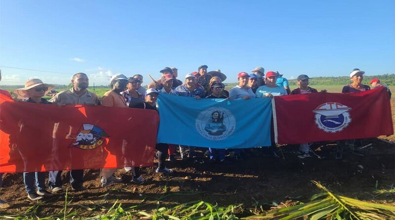 Un trabajo voluntario con alma de mujer