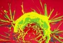 Una vacuna con nanopartículas eficaz contra varios tumores