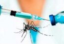 Brasil aprueba la primera vacuna de dosis única contra el dengue