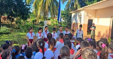 Educación en el año que termina