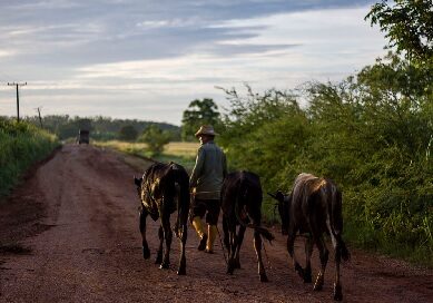 Polos productivos: cambiar la manera de hacer las cosas