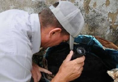 Modelos matemáticos predicen control de la epidemia para inicio de año