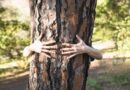Abrazando a un árbol