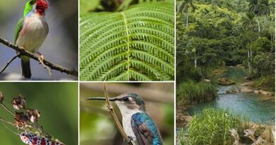 Cuba, la riqueza de sus ecosistemas y hábitats