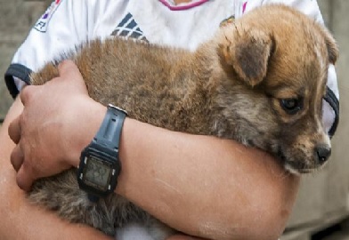 ¿Qué es el CONBAC? Parte 1