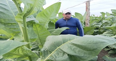 Energía que salva: 29 kits solares fortalecen la salud pública en Remedios y Camajuaní