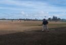 beisbol