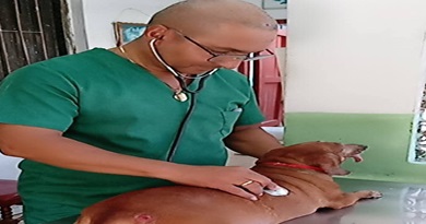 Ser médico veterinario