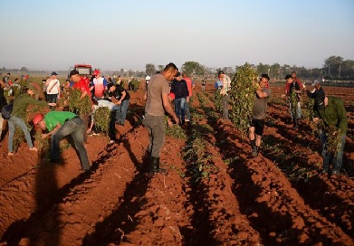 Asistió Primer Ministro a jornada productiva en Palacio de la Revolución