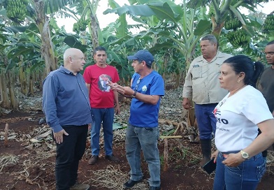 Vice primer ministro cubano evalúa programas productivos en Quemado de Güines
