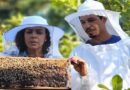 Vientos de primavera para una telenovela