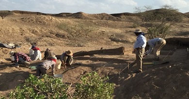 Nuevos restos fósiles confirman a Etiopía como origen de la humanidad