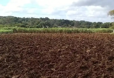 La tierra: mina de oro sin explotar adecuadamente