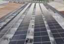Merca-Max SURL: producir desde la resiliencia, apostar por el sol